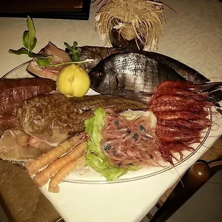 O Palmo パナレーア