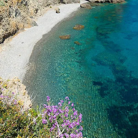 O Palmo Panarea